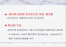 비타민의 정의 발견 및 명명 지용성 수용성 비타민 27페이지