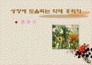 성장 그리고 건강 17페이지