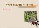 성장 그리고 건강 18페이지