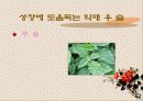 성장 그리고 건강 20페이지
