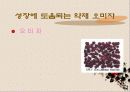 성장 그리고 건강 23페이지