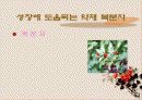 성장 그리고 건강 24페이지