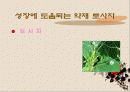 성장 그리고 건강 26페이지