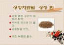 성장 그리고 건강 27페이지
