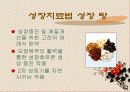 성장 그리고 건강 28페이지