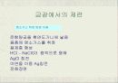 Ag (은) 의 제련 11페이지