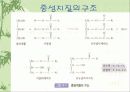 지질이란? 31페이지