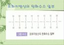 지질이란? 32페이지