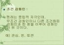 효과적인 강화법 25페이지