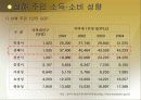 BBQ의 중국시장 성공 사례와 롯데리아의 실폐사례 마케팅 전략 비교분석(A+레포트) 12페이지