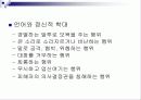가정폭력 6페이지