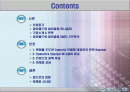 싸이월드의 마케팅 전략 성공사례와 세이클럽의 실폐사례 비교분석(SWOT, STP분석)(A+레포트)★★★★★ 2페이지