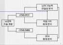 뇌의 기능적 연결성 연구 3페이지