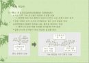 설계 (Design) 41페이지