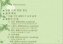 설계 (Design) 44페이지