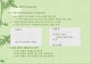 설계 (Design) 52페이지