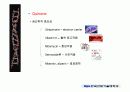 quinone 에 대해서 6페이지