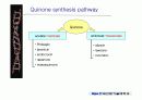 quinone 에 대해서 7페이지