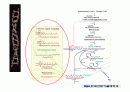 quinone 에 대해서 10페이지