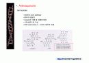 quinone 에 대해서 17페이지