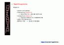 quinone 에 대해서 24페이지