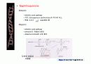 quinone 에 대해서 26페이지