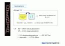 quinone 에 대해서 40페이지
