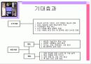 여성정책론 멘토링(mentoring)  11페이지