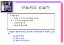 여성정책론 멘토링(mentoring)  12페이지