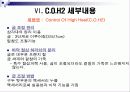 C.O.H2 마케팅 전략 10페이지