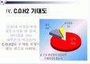 C.O.H2 마케팅 전략 16페이지