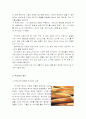 '멕시코'의 음식문화 4페이지