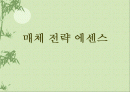 매체 전략 에센스 1페이지