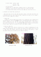 한경 레포트 (산불) 9페이지