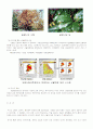 한경 레포트 (산불) 10페이지