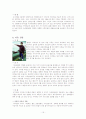 사격의 변천사 15페이지