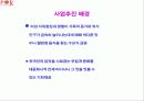 사업계획서~pok 3페이지