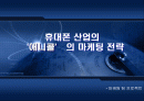 애니콜의마케팅전략분석 2페이지