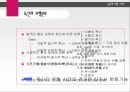 독신가족의 정의와 형태 및 실태와 문제점  복지방안- 독거노인,  미혼독신 (2007 추천 레포트) - 독신의 개념, 미혼독신가족, 노인독신가족 7페이지