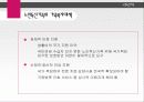 독신가족의 정의와 형태 및 실태와 문제점  복지방안- 독거노인,  미혼독신 (2007 추천 레포트) - 독신의 개념, 미혼독신가족, 노인독신가족 46페이지