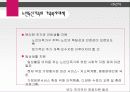 독신가족의 정의와 형태 및 실태와 문제점  복지방안- 독거노인,  미혼독신 (2007 추천 레포트) - 독신의 개념, 미혼독신가족, 노인독신가족 47페이지