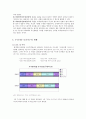(가족복지) 우리나라 독신가정의 형태와 복지현황 및 문제점 개선방안 (2007 추천 레포트, 독거노인, 미혼독거 중심) 5페이지