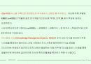 EVERLAND 의 성공전략 13페이지