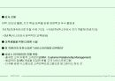 EVERLAND 의 성공전략 21페이지
