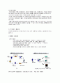 ERP를 이용한 BPR의 성공요인과 성공사례 &실패요인 5페이지