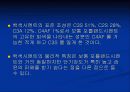 백색 콘크리트(화이트 콘크리트) 5페이지