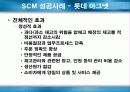 SCM(Supply Chain Management)에 관하여 17페이지