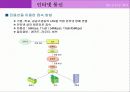 인터넷 통신 40페이지
