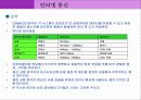 인터넷 통신 42페이지