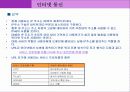 인터넷 통신 43페이지